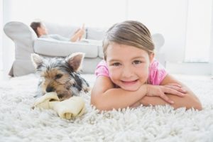  Cave Creek Carpet Cleaning Specials